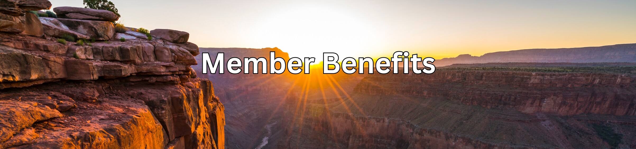 Member Benefits