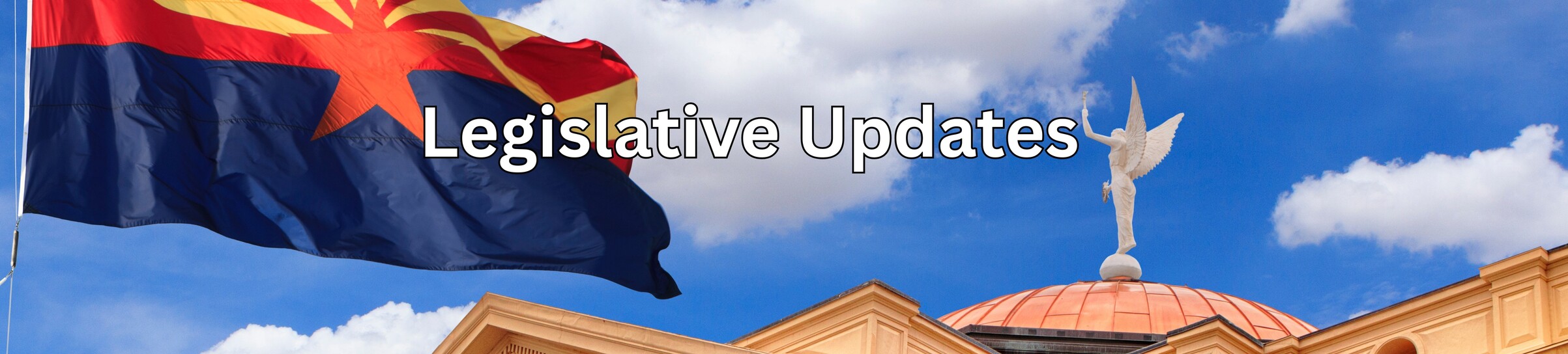 Legislative Updates