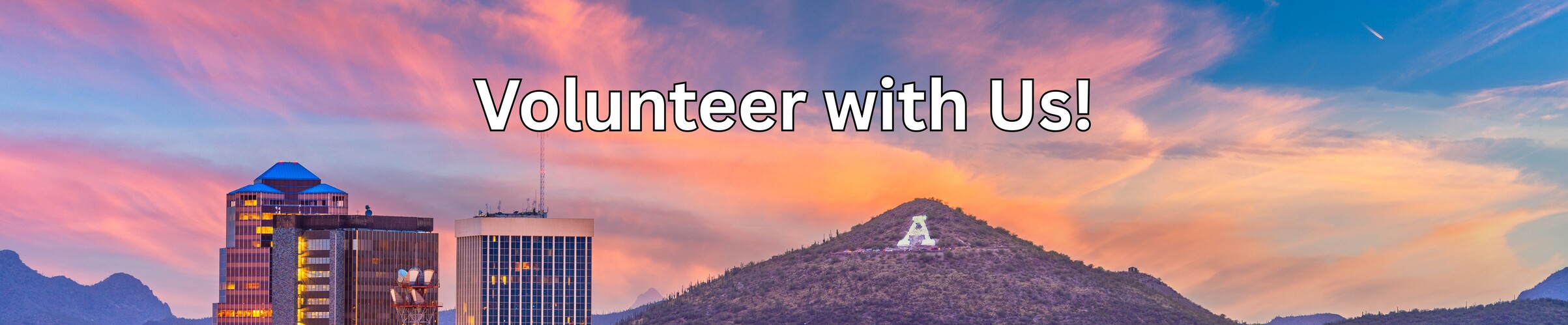 Volunteer