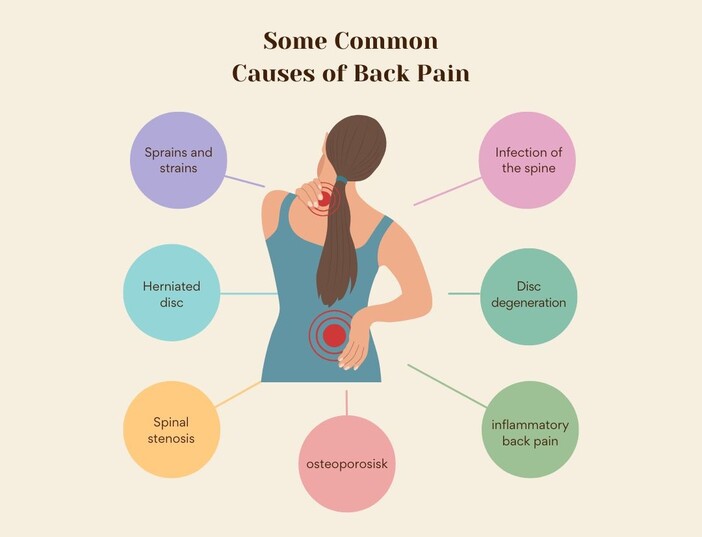 Common Causes of Back Pain